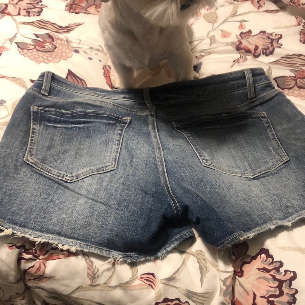 Daytrip Jean shorts